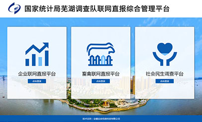 国家统计局芜湖调查队联网直报综合管理平台
